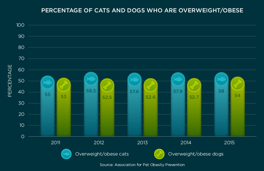 Pet Obesity Chart | Taste of the Wild