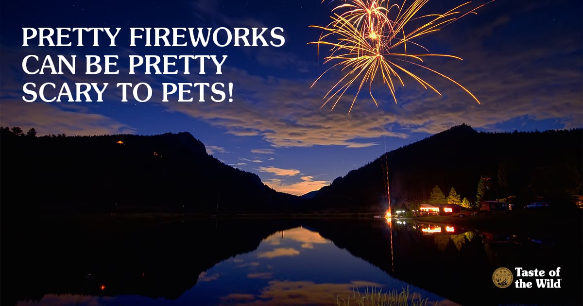 Fireworks over a river and mountains | Taste of the Wild