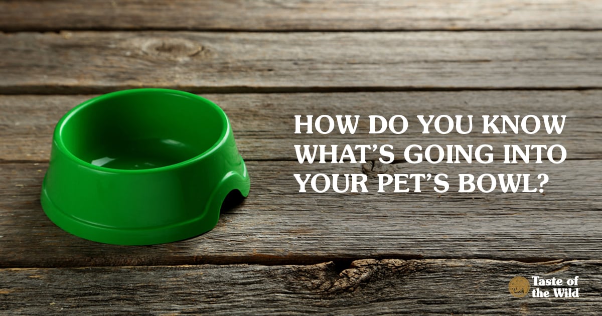 Empty Pet Food Bowl on Wooden Floor | Taste of the Wild