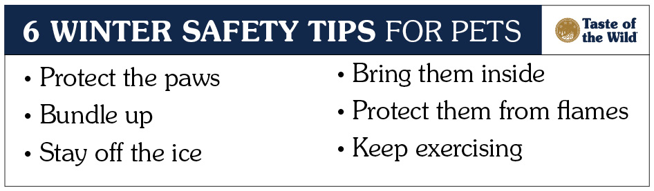 Winter safety tips for pets