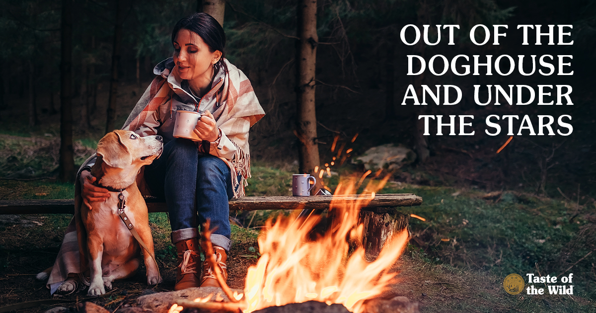 A woman sitting with her dog next to a campfire.