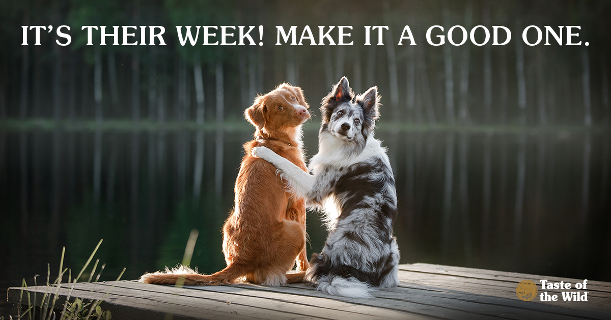 It’s Their Week! Make It a Good One.