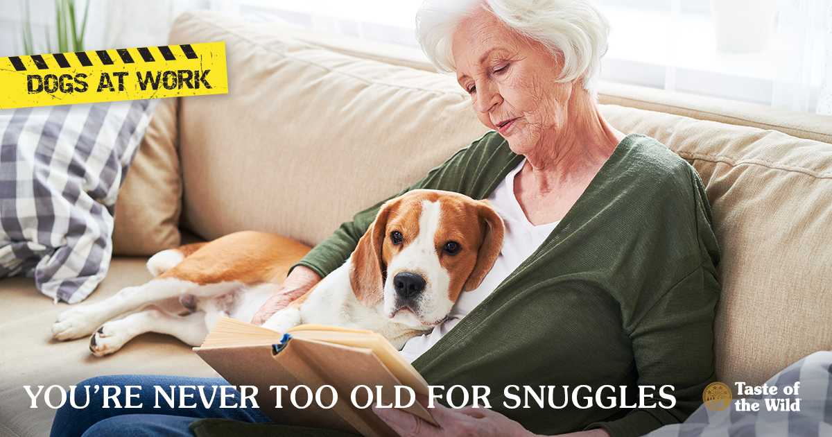 An older woman sitting on a couch reading a book with a dog lying in her lap.
