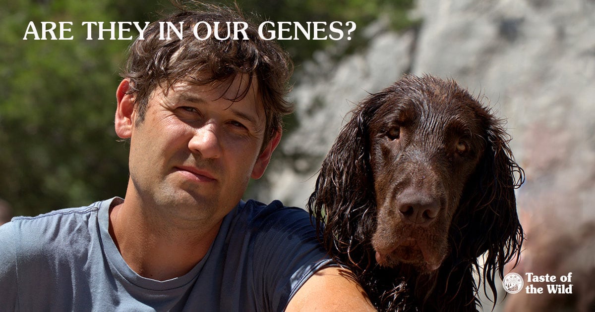 Man and Boykin Spaniel Dog Sitting Next to Each Other | Taste of the Wild Pet Food