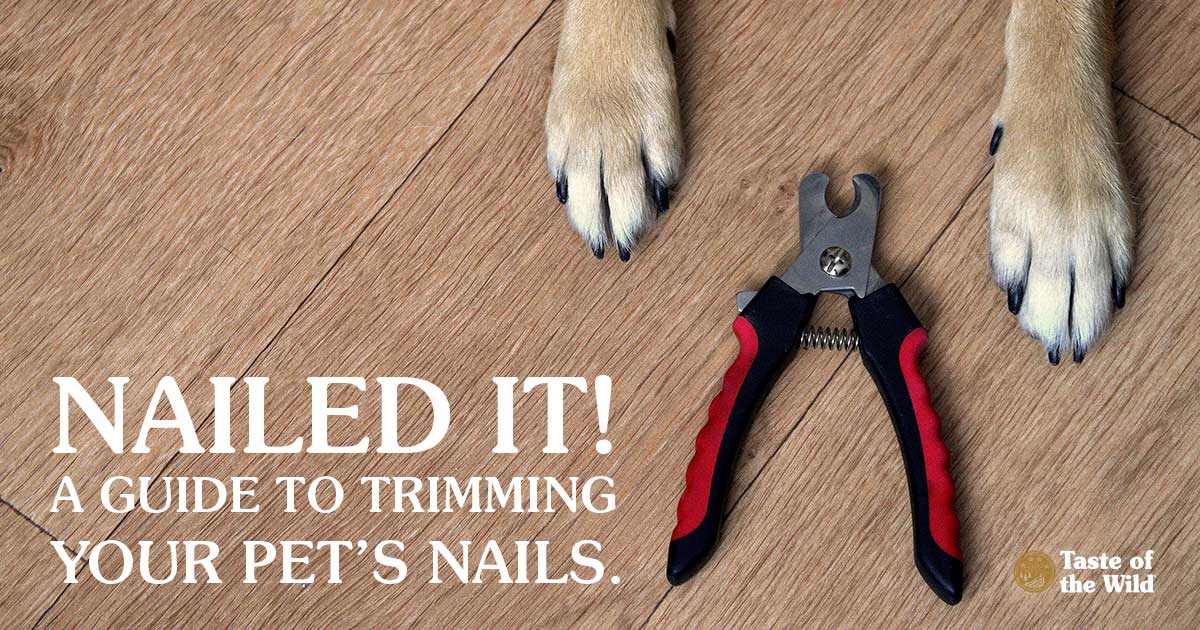 Picture of Dog Paws and Pet Nail Trimmer | Taste of the Wild Pet Food