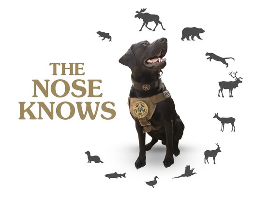 Wildlife Management Dog Cash with Silhouettes of Wild Animals and the Caption “The Nose Knows” | Taste of the Wild Pet Food