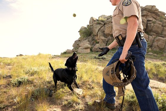 Officer Brock with His Black Labrador Retriever K9 Partner Cash Playing Fetch | Taste of the Wild Pet Food