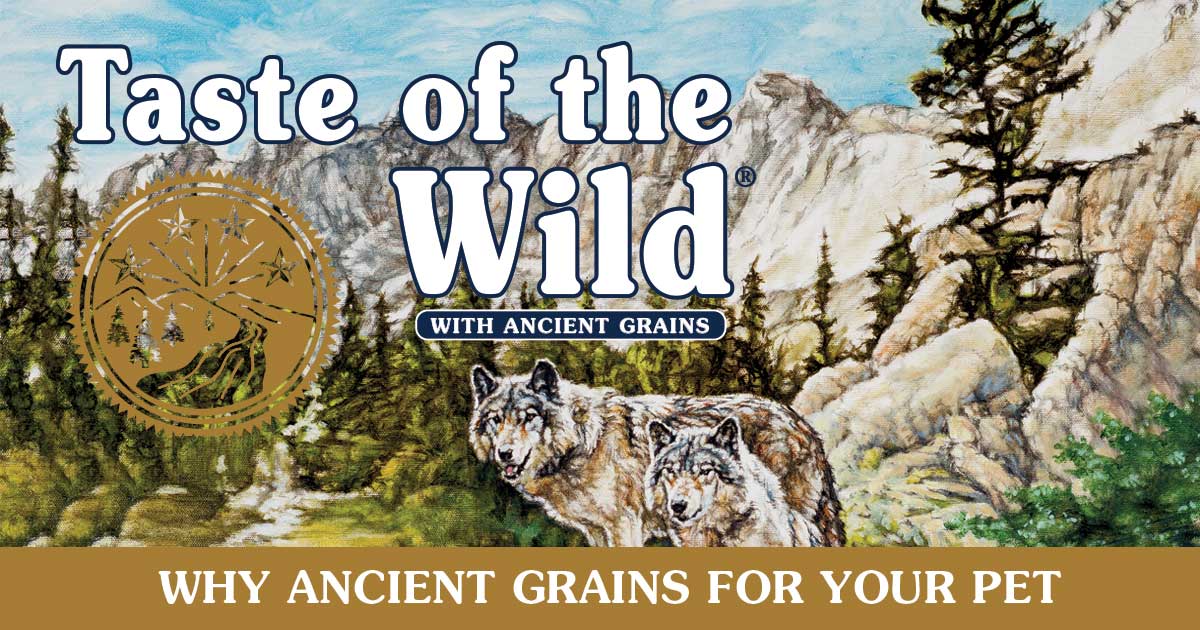 Why Ancient Grains for Your Pet? Infographic | Taste of the Wild Pet Food