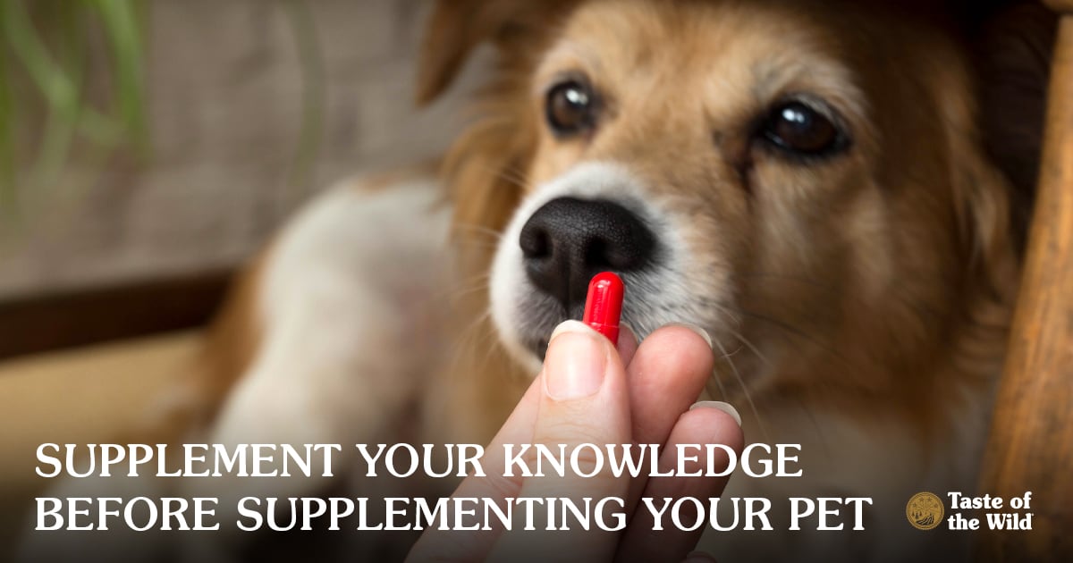 Dog Owner Giving Medicine to Dog | Taste of the Wild Pet Food
