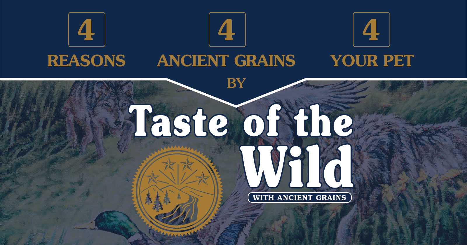 Taste of the Wild with Ancient Grains Benefits | Taste of the Wild