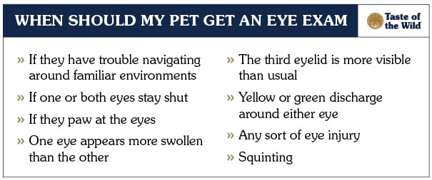 An interior graphic detailing various signs that may indicate your pet should get an eye exam.