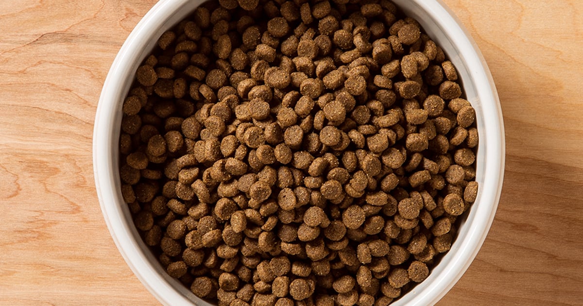 Close-Up of Pet Food in a Bowl | Taste of the Wild Pet Food