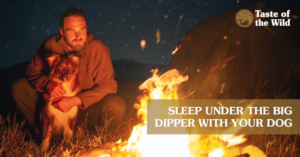 A man kneeling by a campfire with his arms wrapped around a dog.