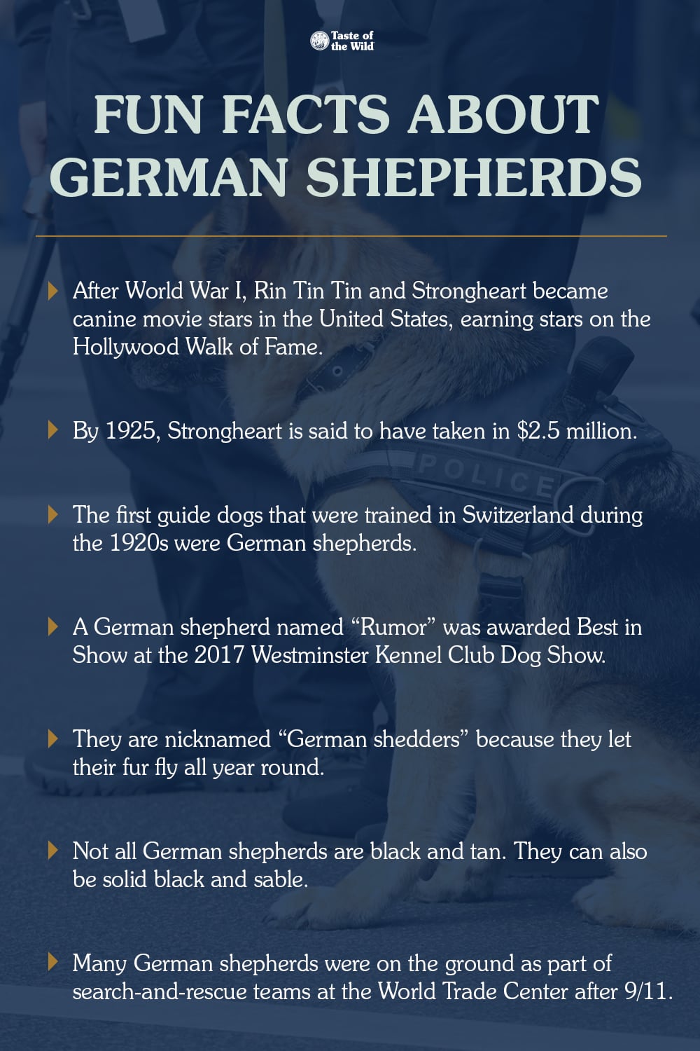 Fun Facts About German Shepherds List | Taste of the Wild