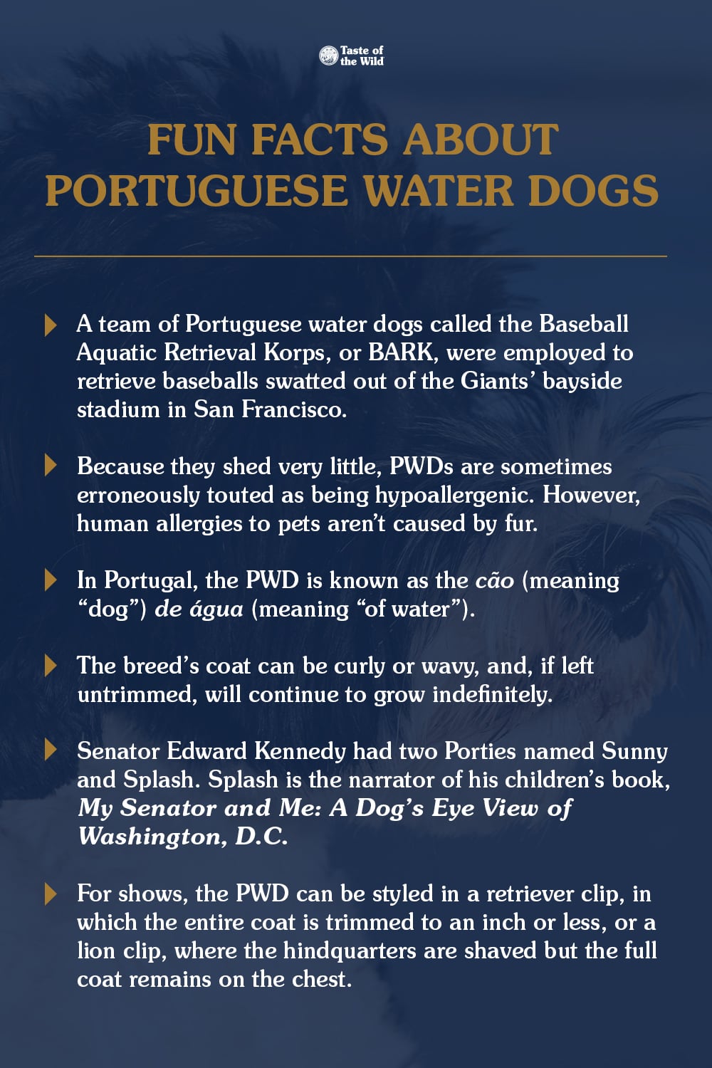 Fun Facts About Portuguese Water Dogs Graphic | Taste of the Wild