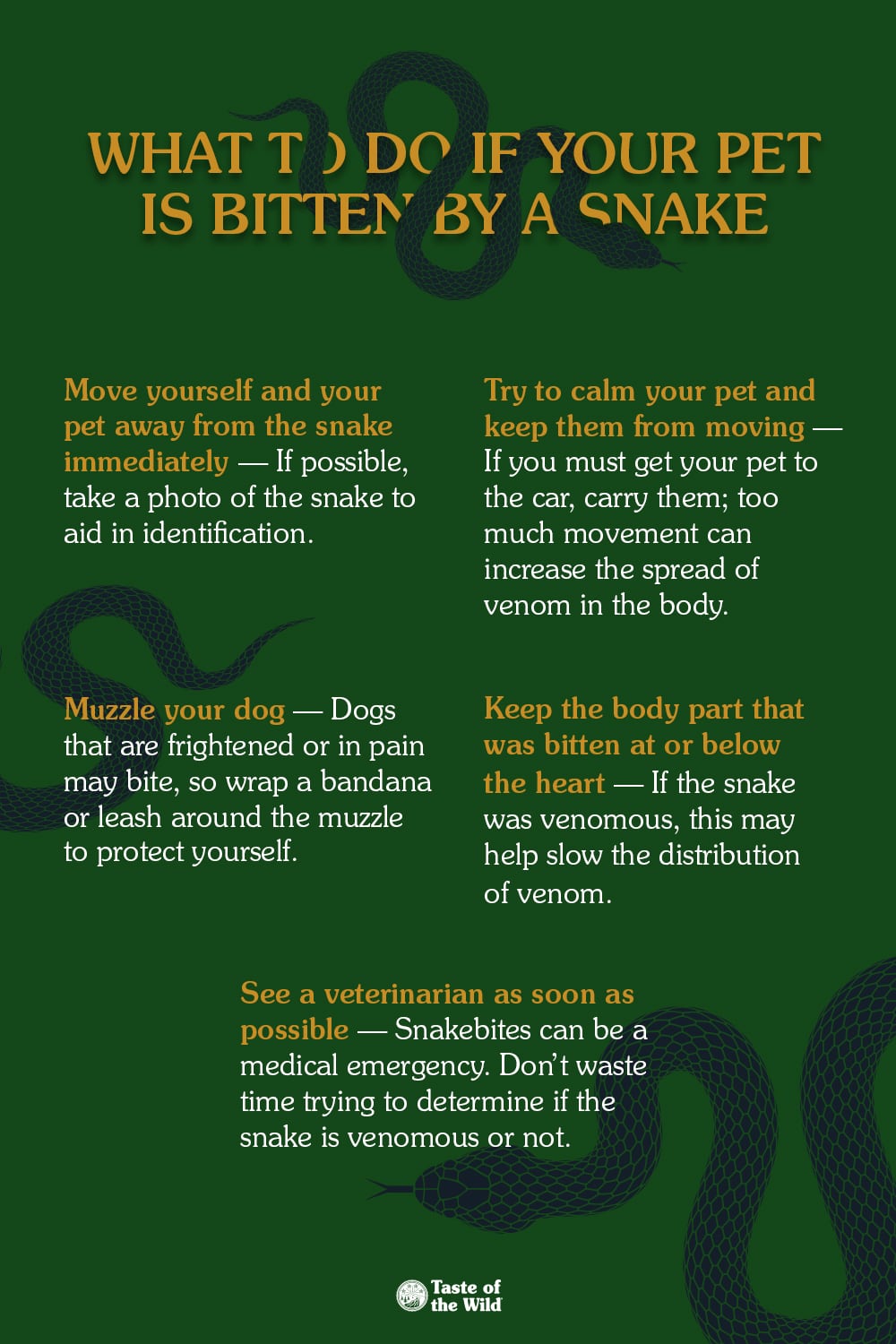 What to Do if Your Dog Is Bitten by a Snake Infographic | Taste of the Wild