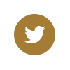 twitter social icon