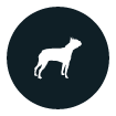 Ideal For Small Breeds Icons