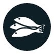 Sustainably Sourced Salmon Icons