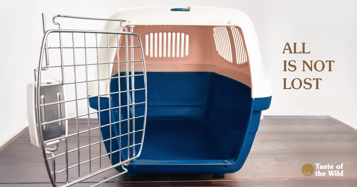 An empty plastic dog crate lying on a table with the door open.