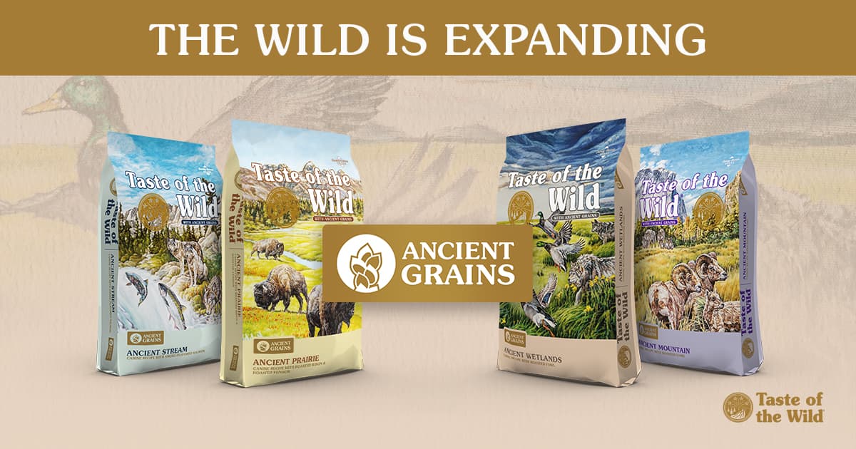 Four different bags of Taste of the Wild's Ancient Grains recipes.