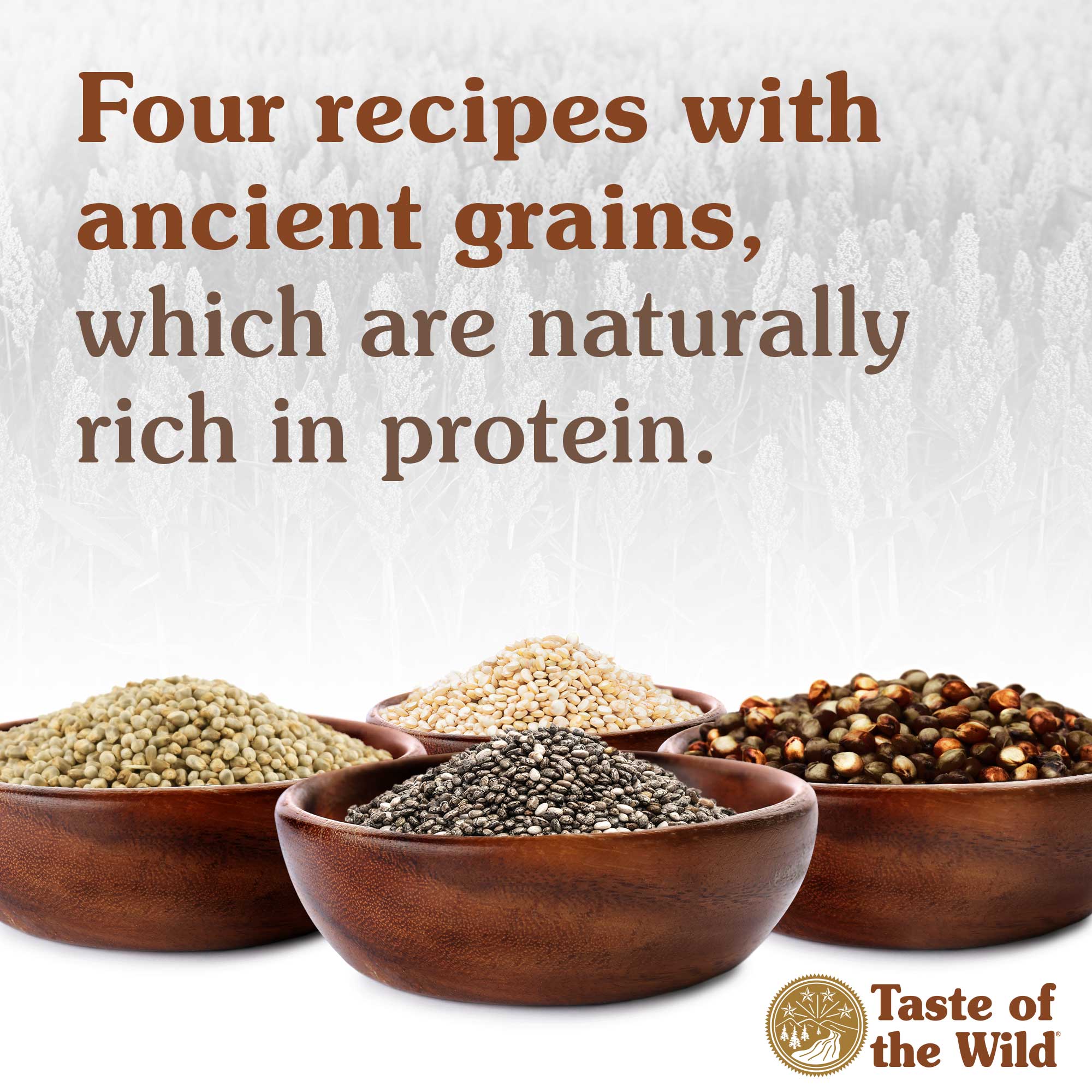 Four recipes with ancient grains, which are naturally rich in protein | Taste of the Wild