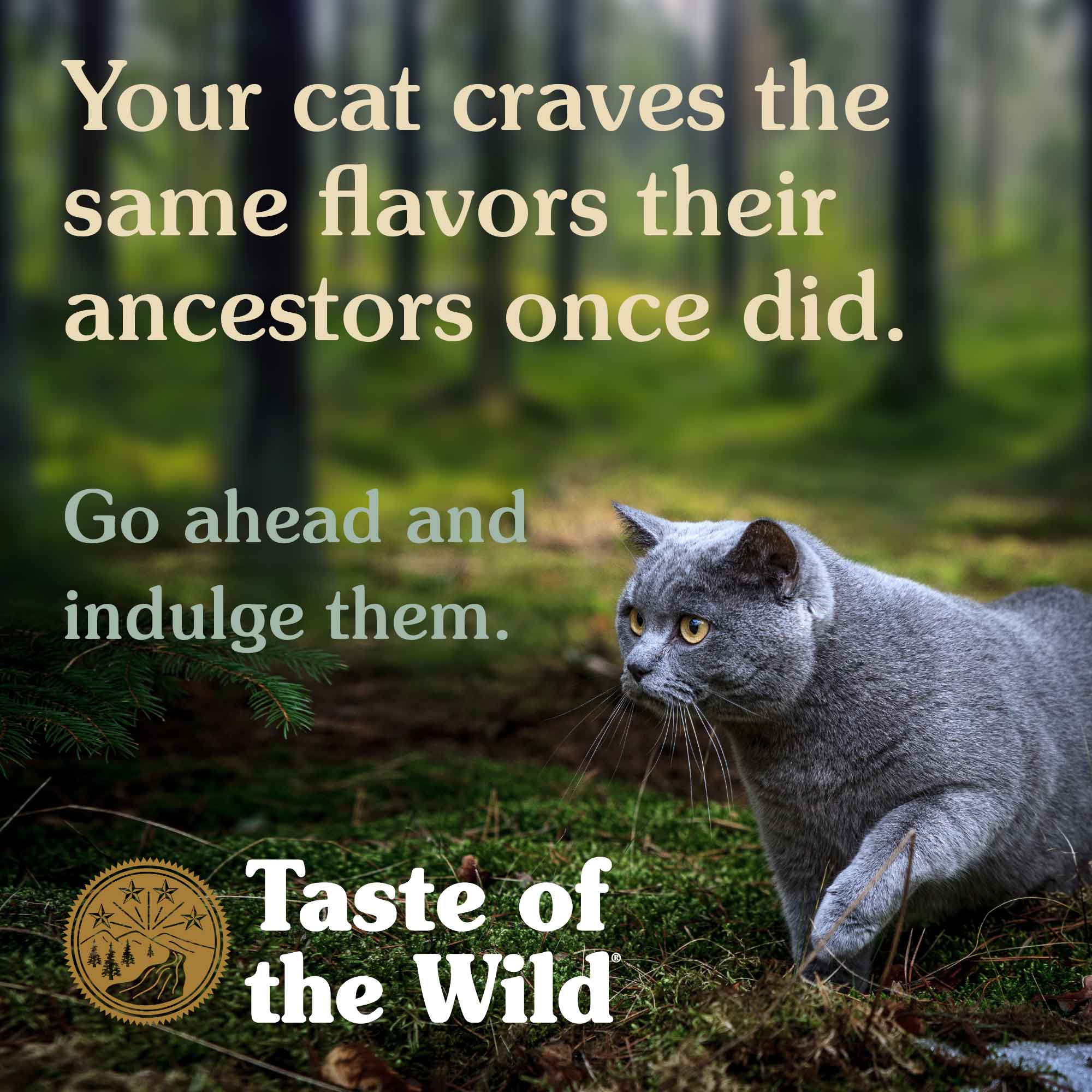 Your cat craves the same flavors their ancestors once did | Taste of the Wild