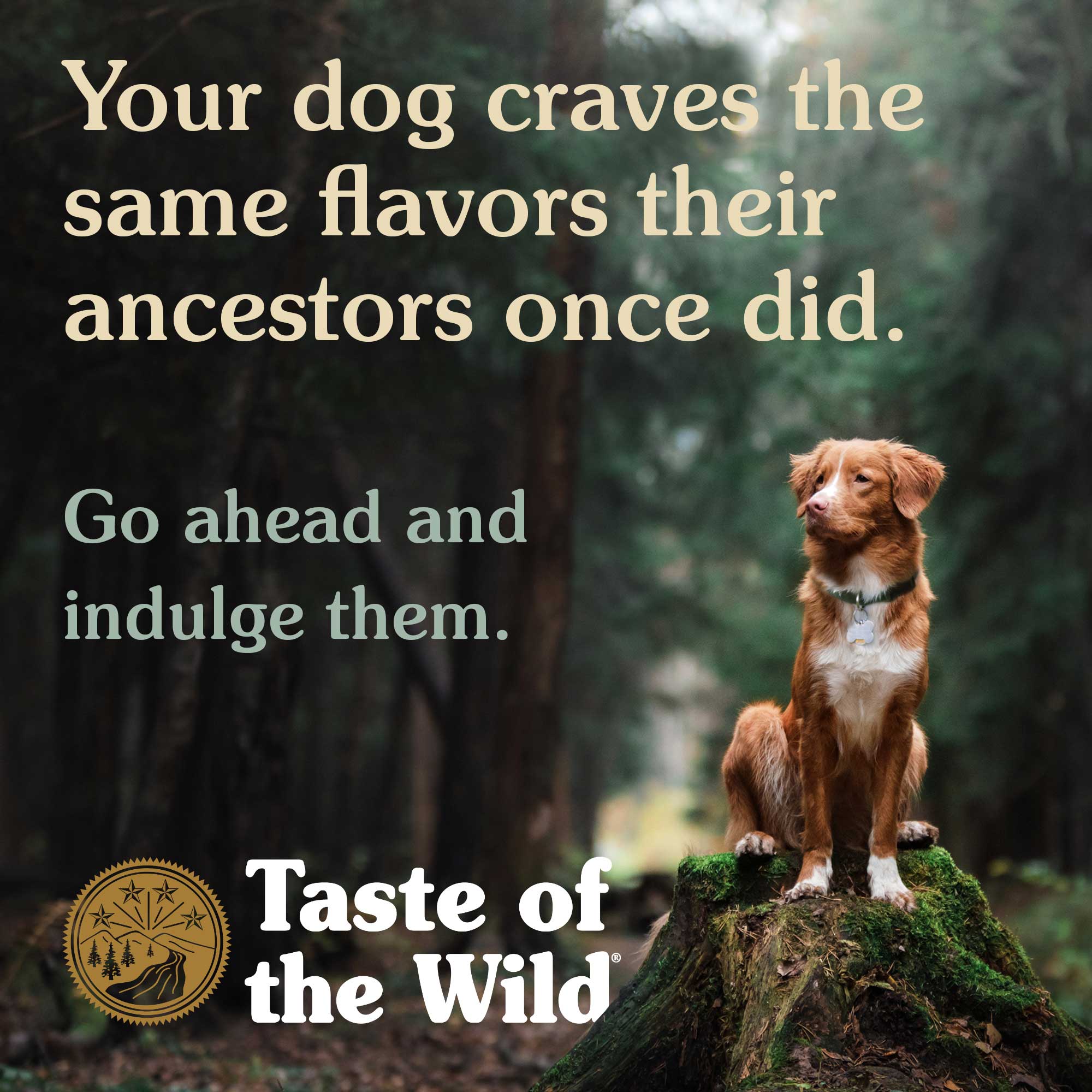 Your dog craves the same flavors their ancestors once did | Taste of the Wild