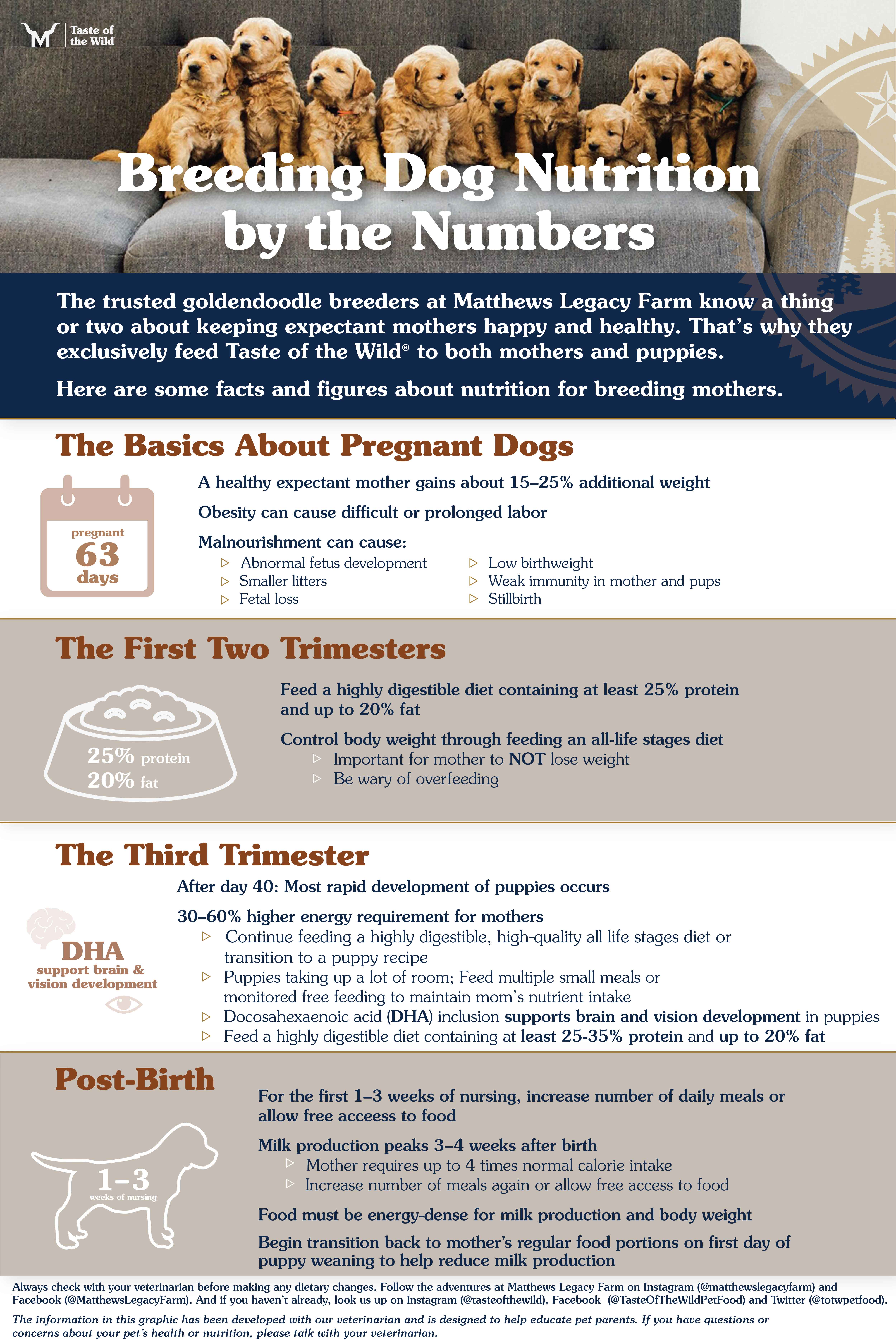 An interior infographic detailing various facts about breeding dog nutrition.
