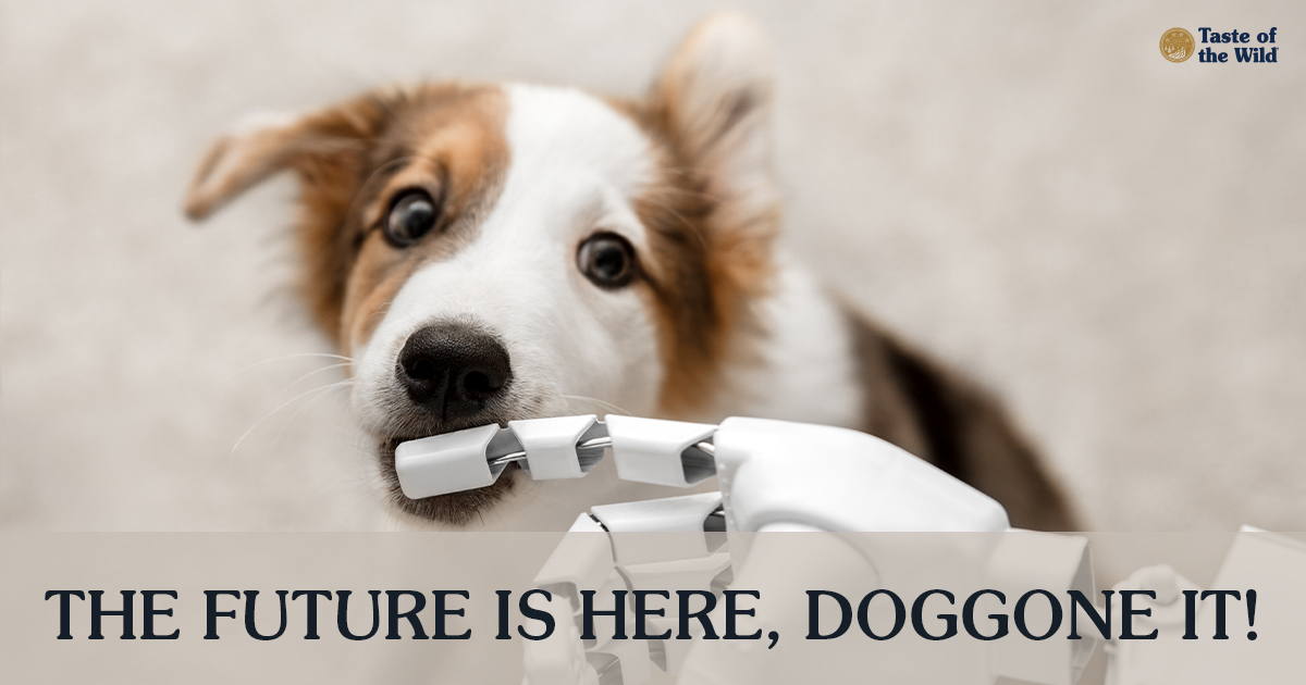 A brown and white dog biting the finger of a robot hand next to text that reads, ‘The Future is Here, Doggone It!’.
