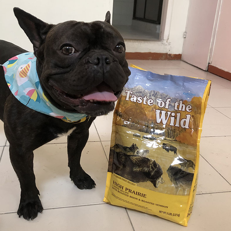 French Bulldog Standing Next to Taste of the Wild Food Bag | Taste of the Wild