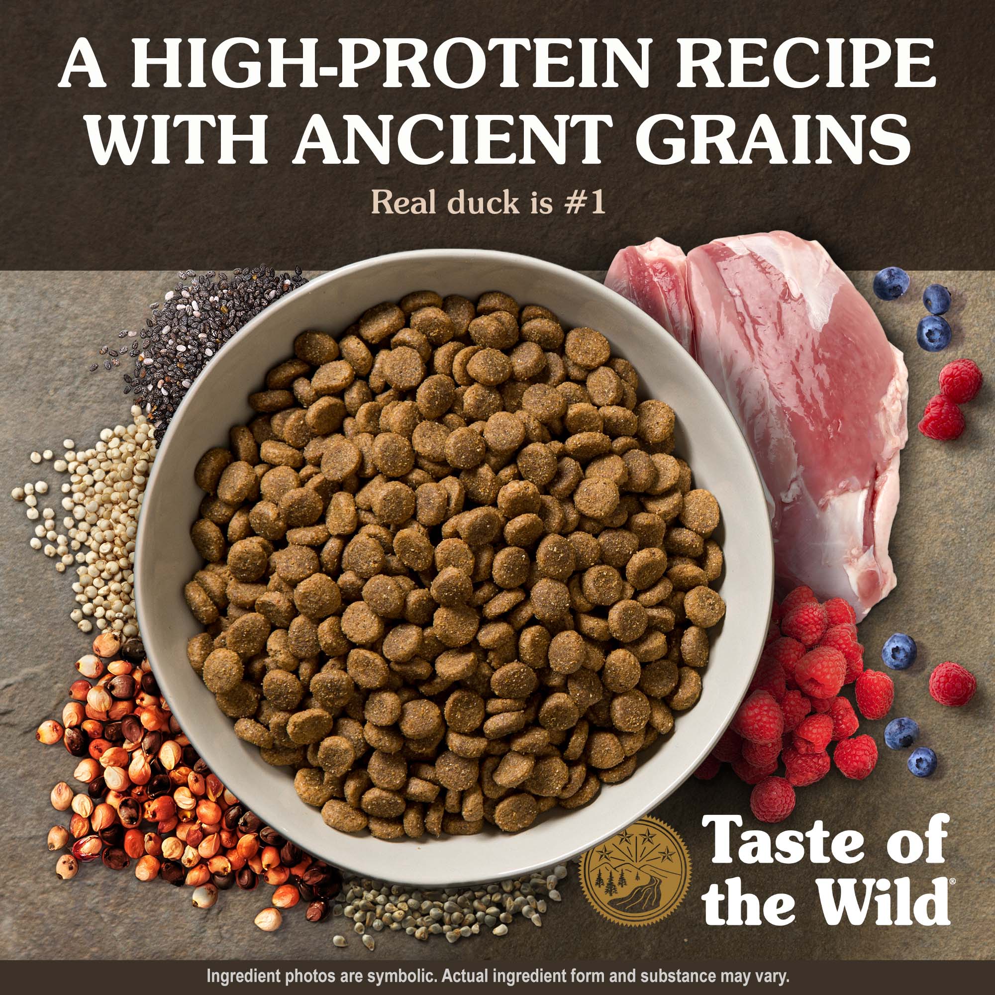 Ancient Wetlands Canine Recipe with Roasted Fowl Kibble in a White Bowl | Taste of the Wild