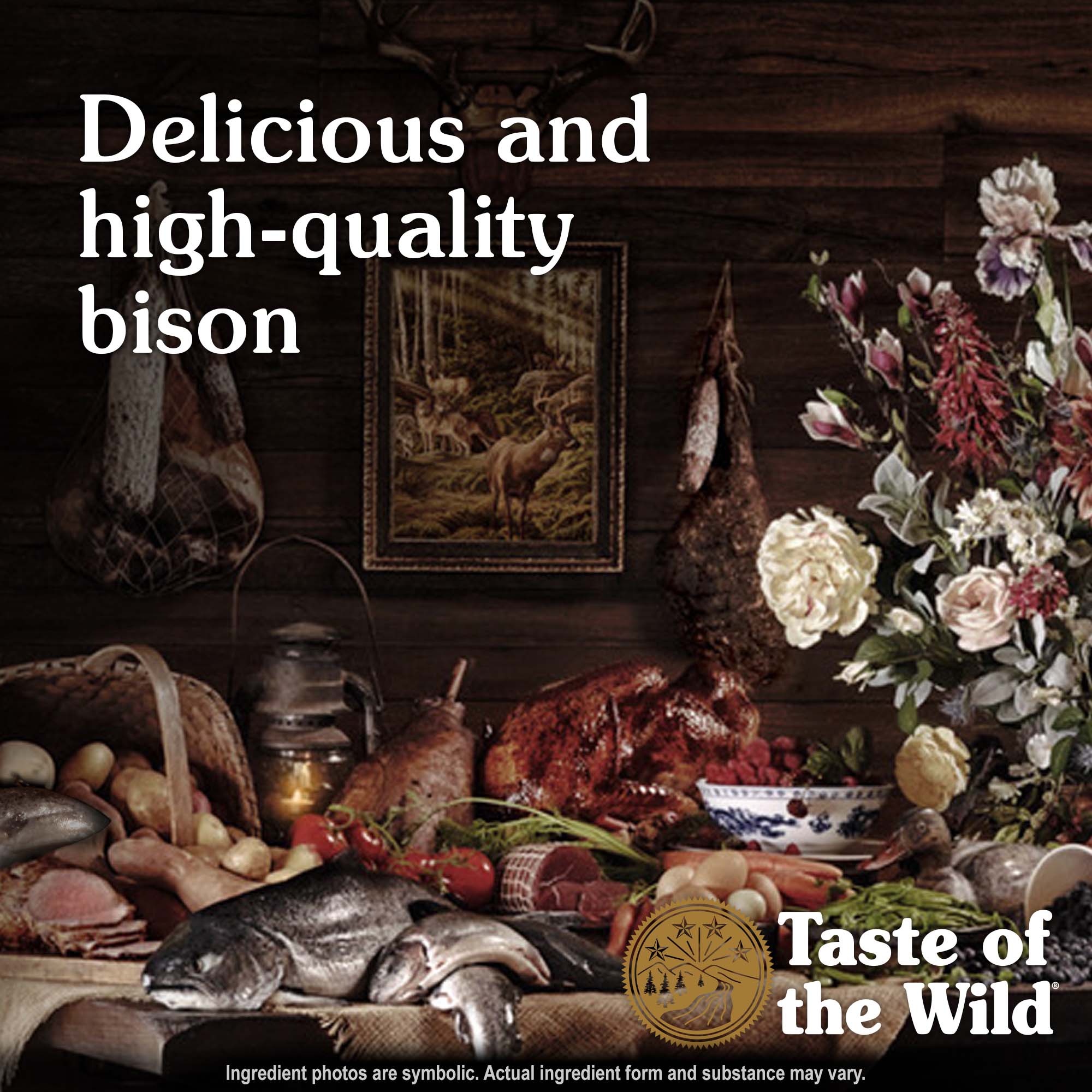 High Prairie Canine Recipe with Bison in Gravy Protein | Taste of the Wild