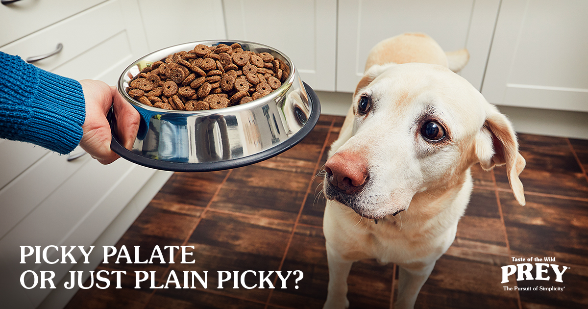 Picky Palate or Just Plain Picky text graphic | Prey Pet Food