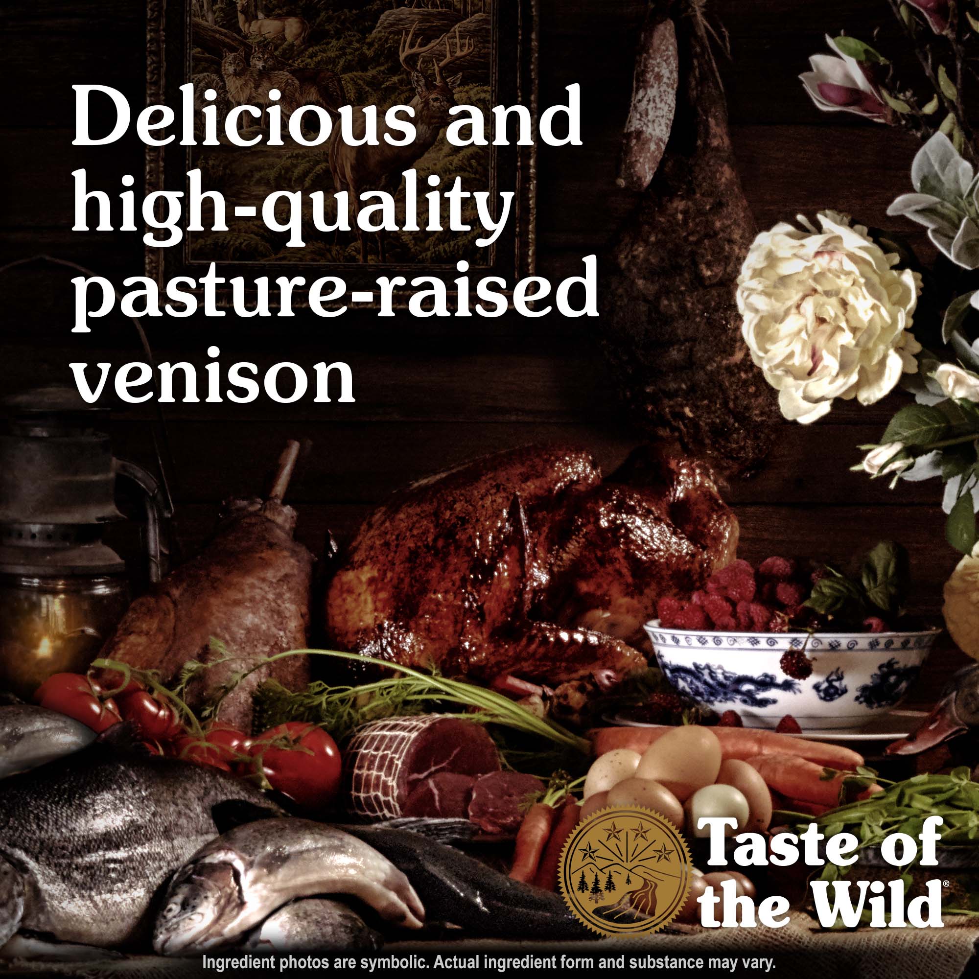 Pine Forest Canine Recipe with Venison & Legumes Protein | Taste of the Wild