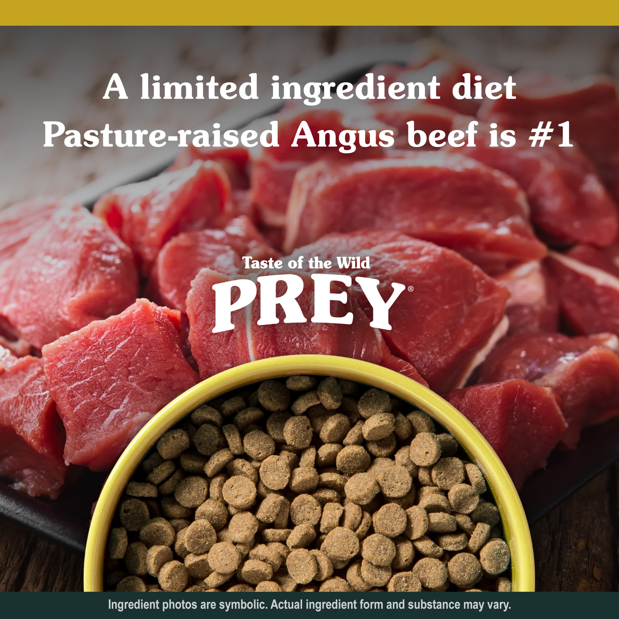 A yellow ceramic bowl full of Angus Beef Limited Ingredient Recipe for Cats kibble in front of cuts of fresh, pasture-raised Angus beef meat.