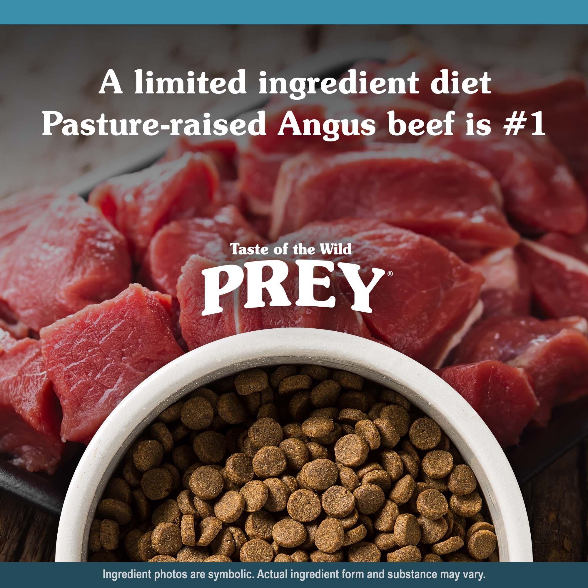 PREY Angus Beef Recipe for Dogs Kibble in a White Bowl | Taste of the Wild