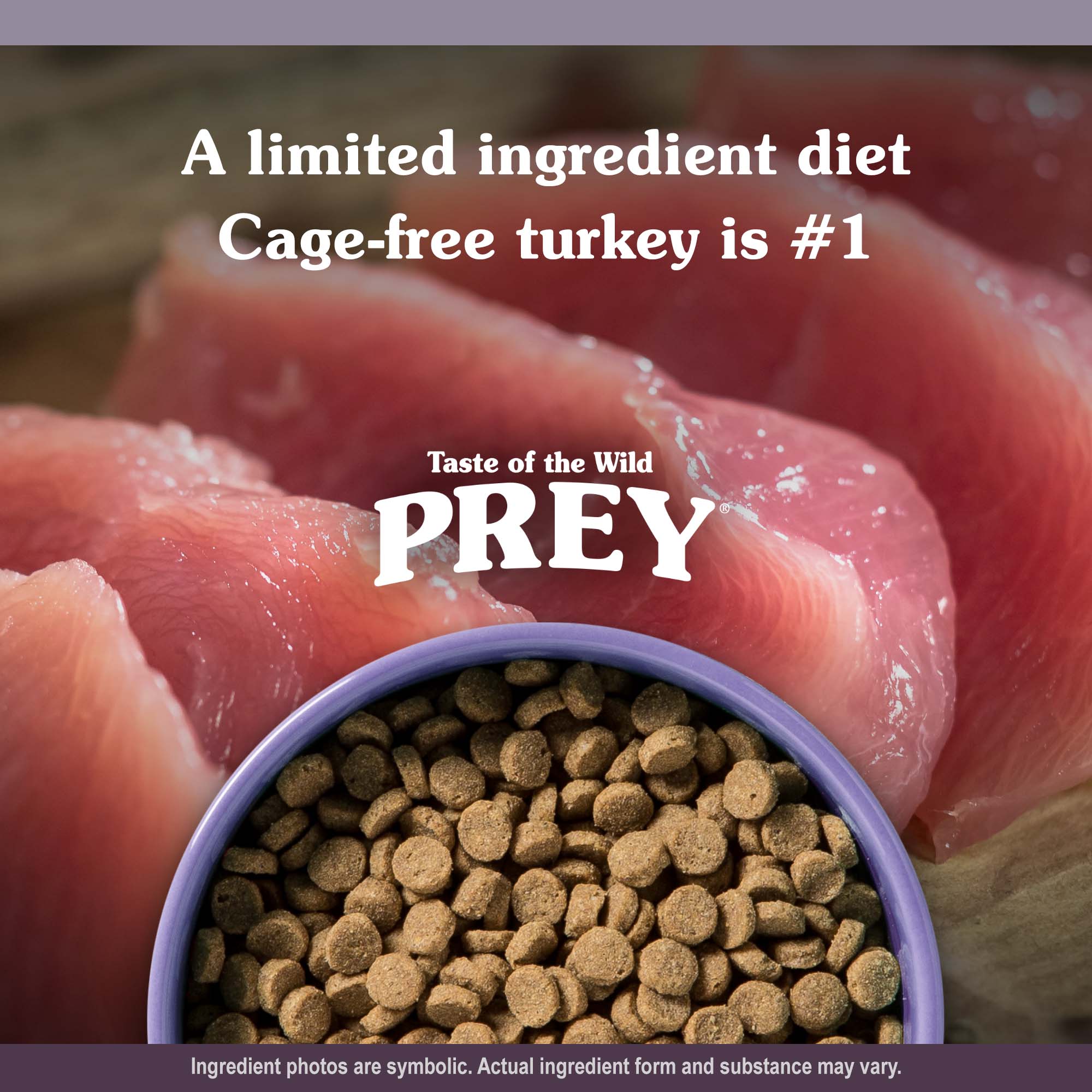 PREY Turkey Recipe for Cats Kibble in a Purple Bowl | Taste of the Wild