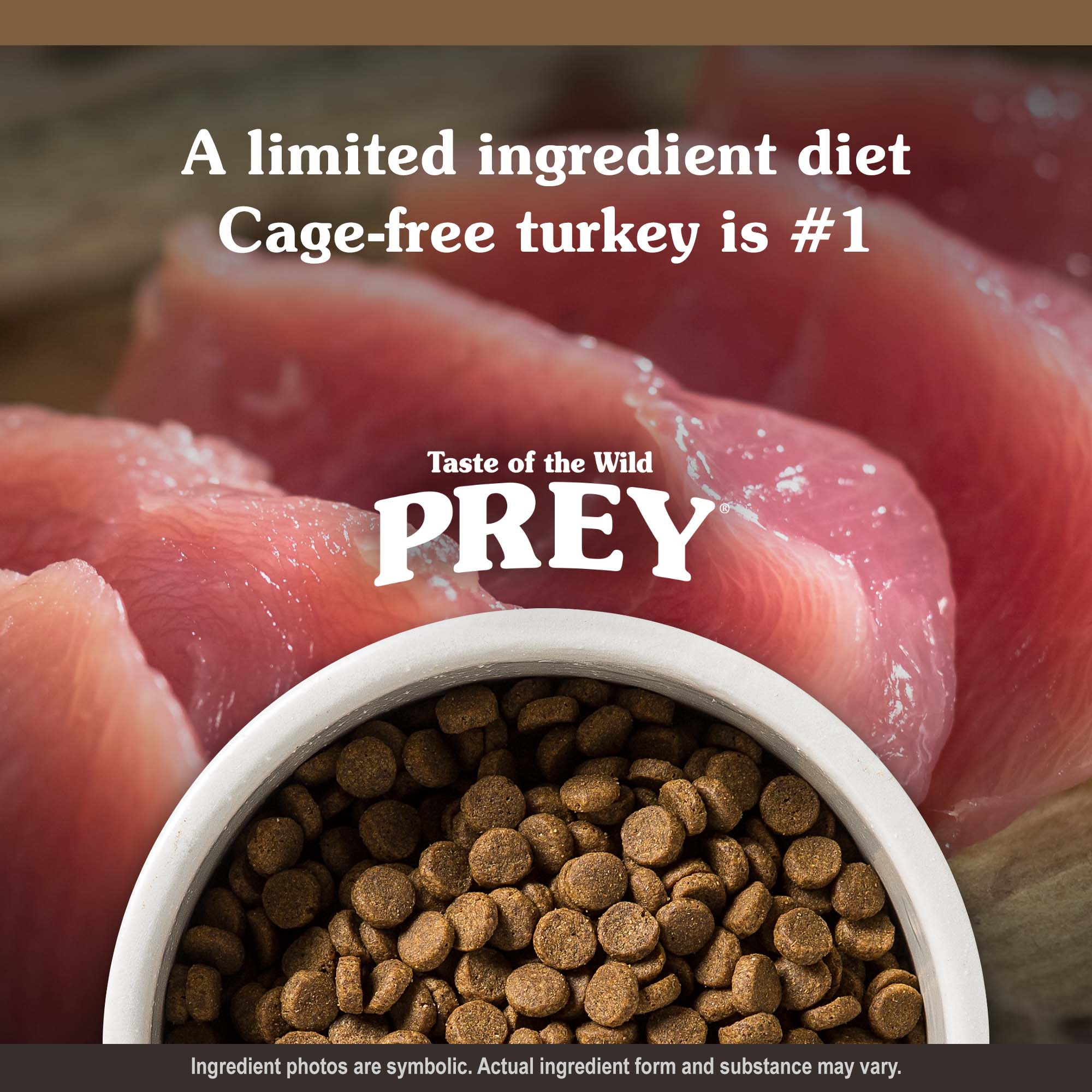 PREY Turkey Recipe for Dogs Kibble in a White Bowl | Taste of the Wild