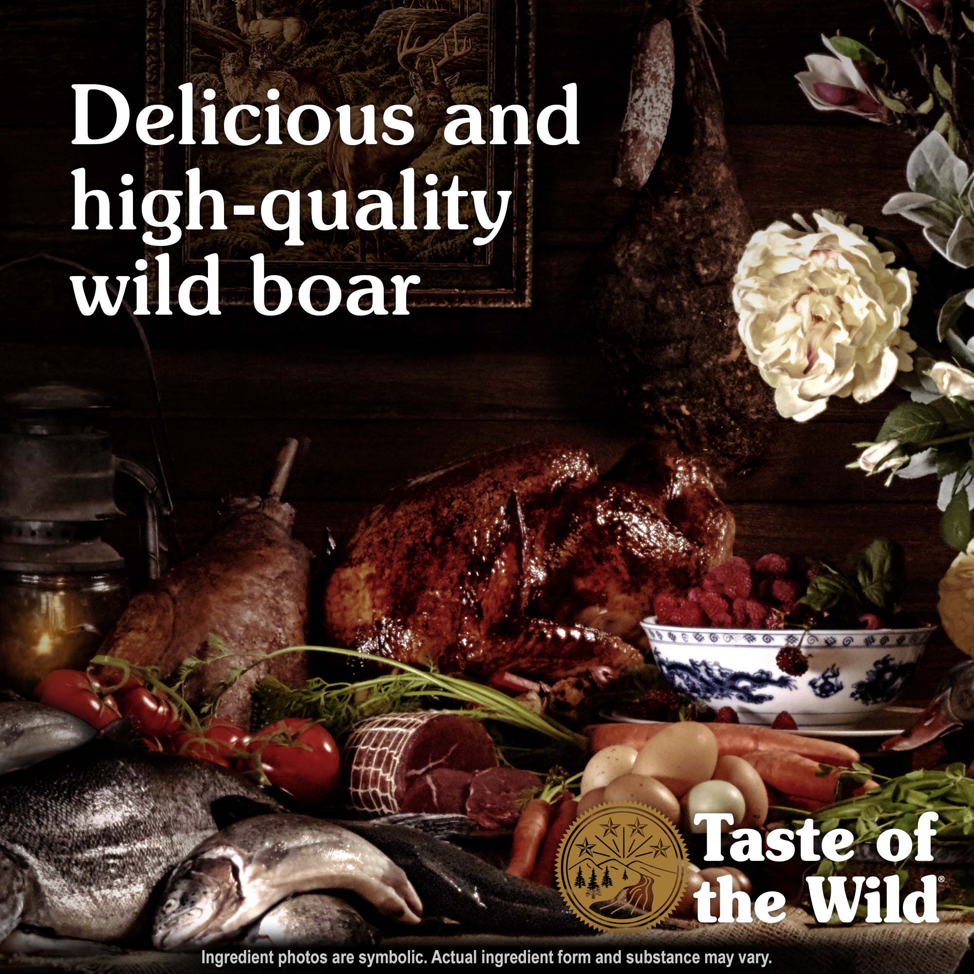 Southwest Canyon Canine Recipe with Wild Boar Protein | Taste of the Wild