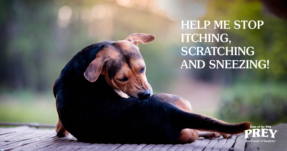Help Me Stop Itching, Scratching and Sneezing text graphic | Prey Pet Food