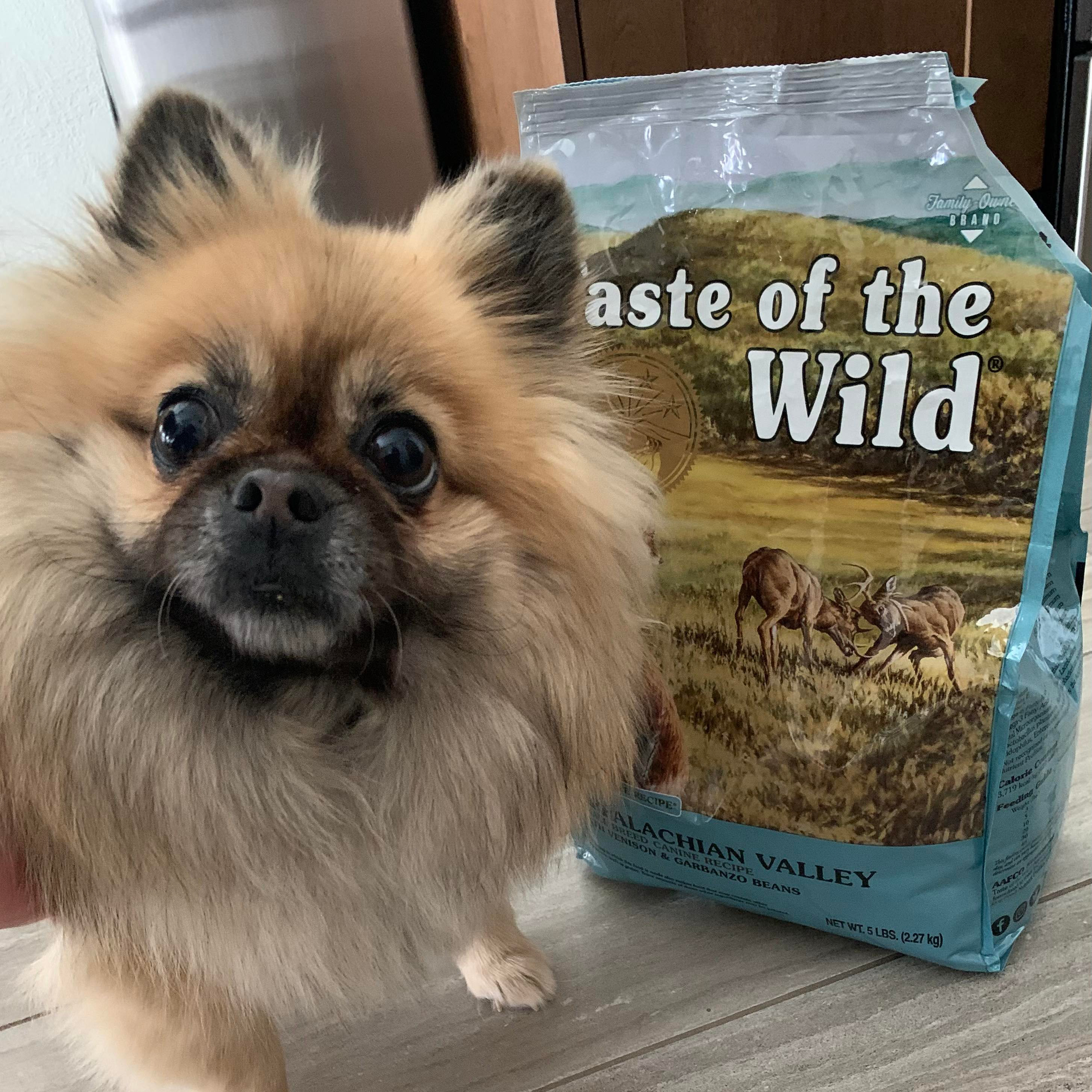 Dog Next to Taste of the Wild Food Bag | Taste of the Wild