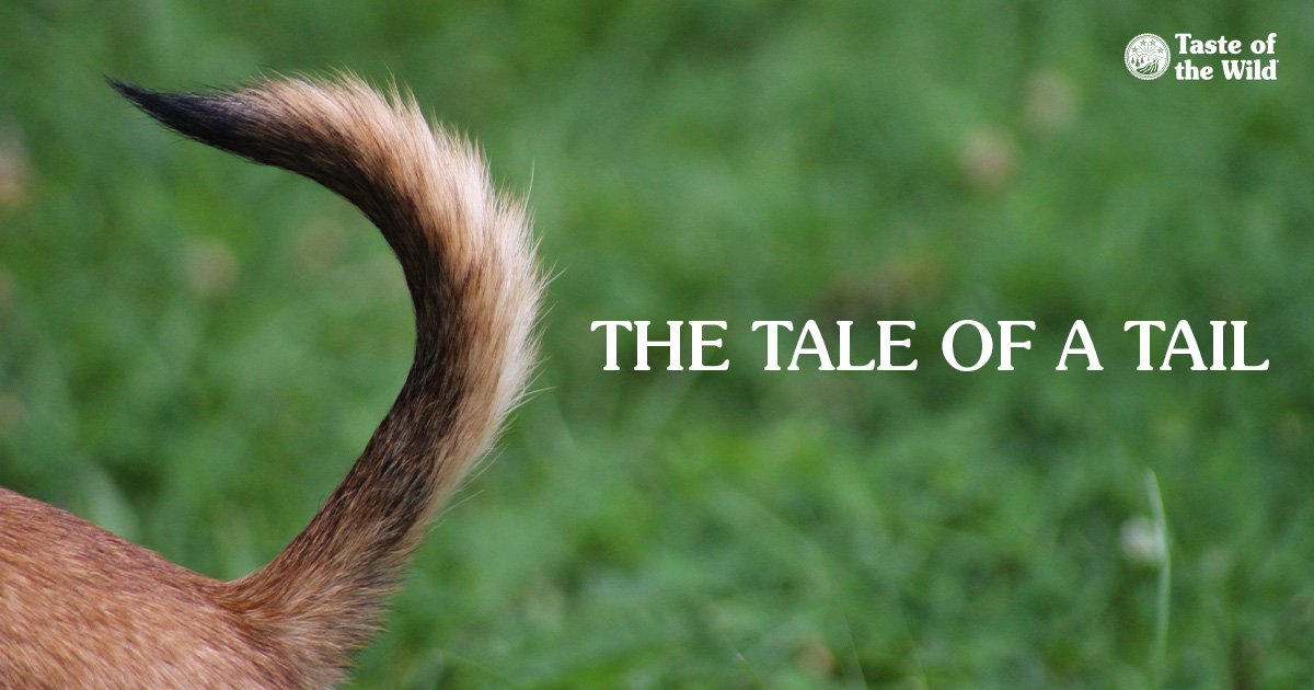 Dog Tail Graphic | Taste of the Wild