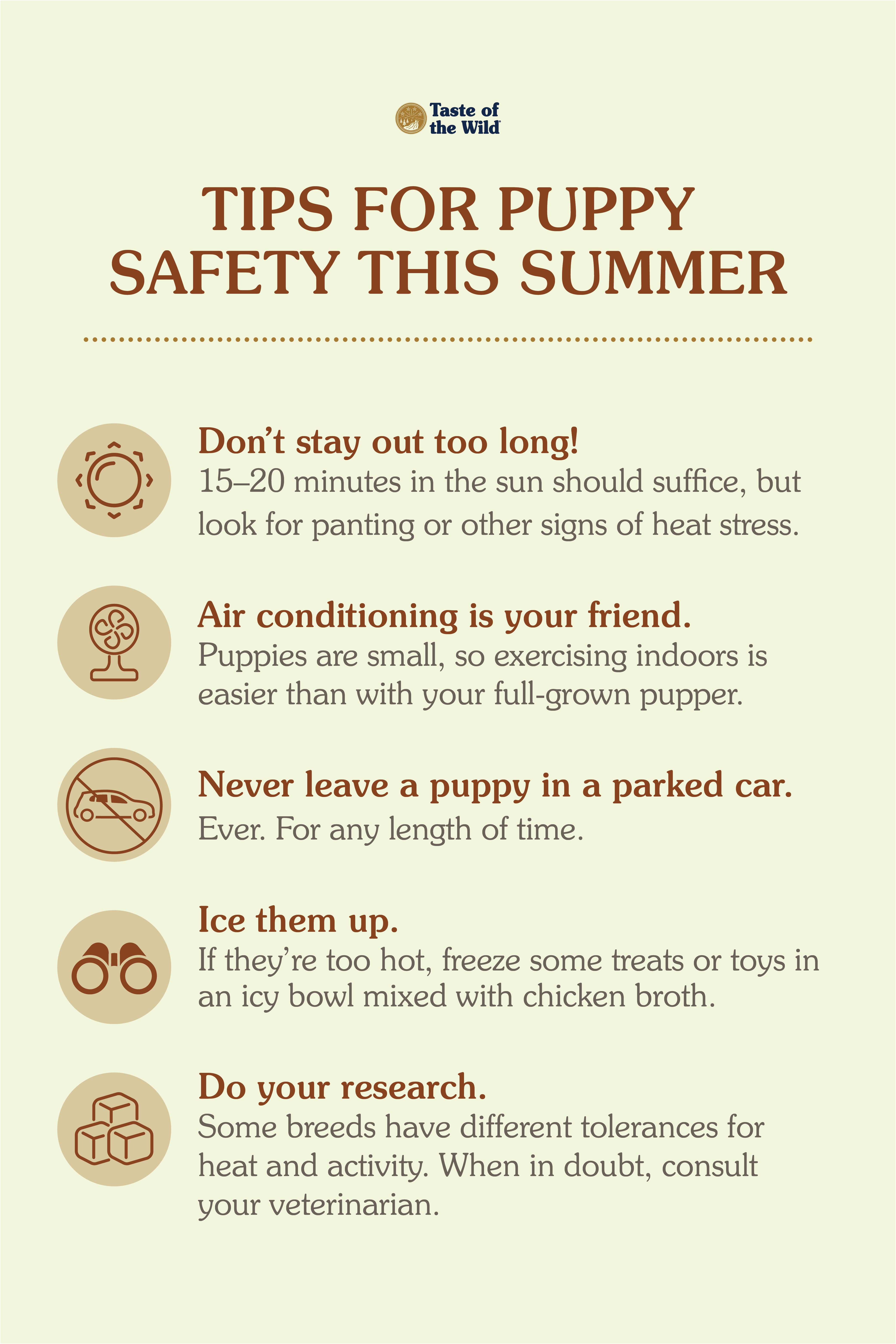 An interior graphic detailing 5 different summer safety tips for puppies.