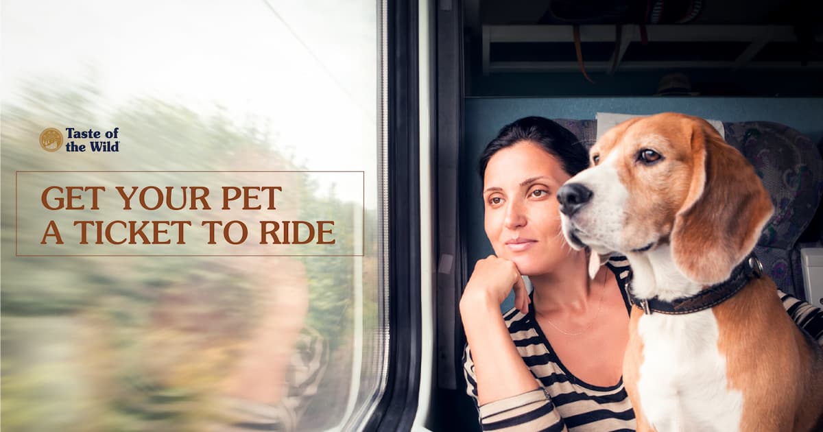 Dog with Owner Looking Out Train Window Text Graphic | Taste of the Wild