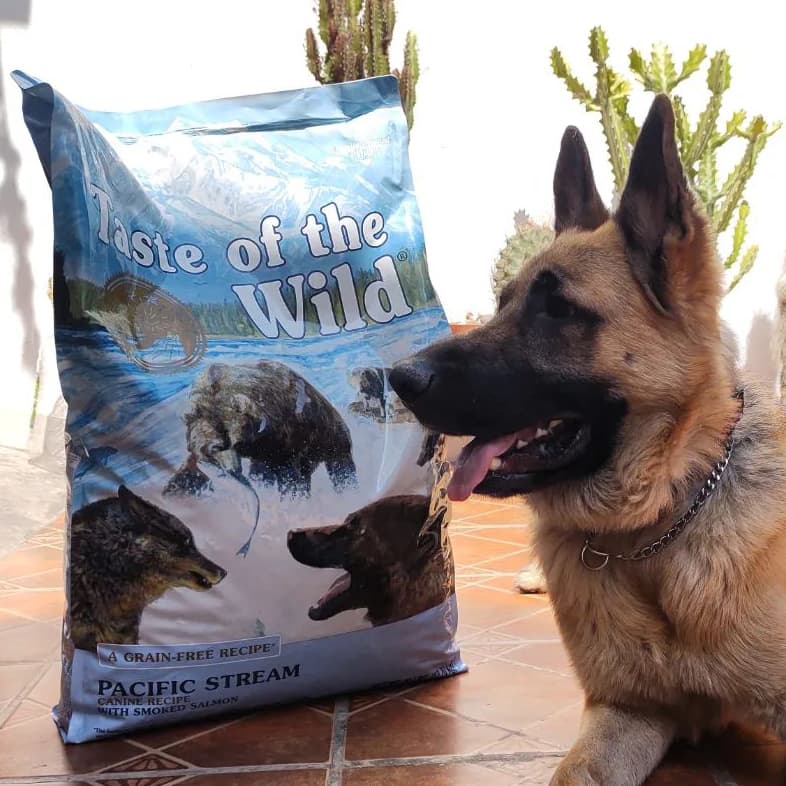 German Shepherd Lying by Taste of the Wild Food Bag | Taste of the Wild