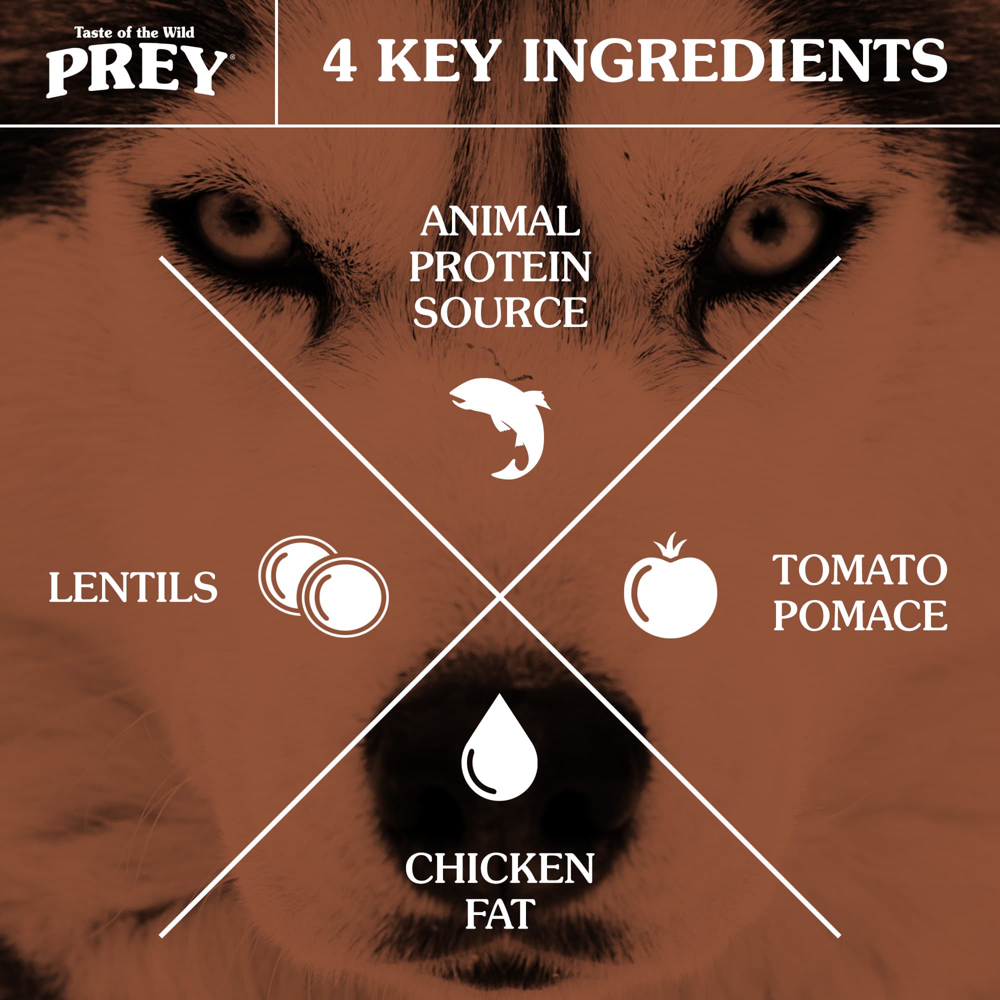 4 Key Ingredients for Dogs: Animal Protein Source, Tomato Pomace, Chicken Fat and Lentils | Taste of the Wild