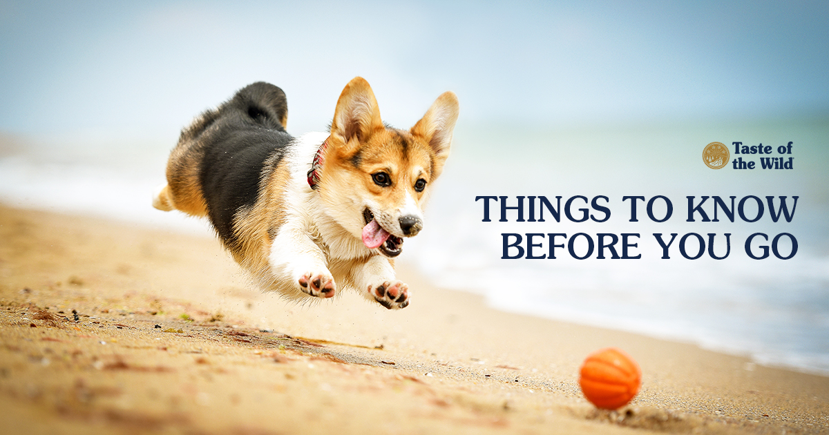 Dog on Beach Chasing Ball Text Graphic | Taste of the Wild