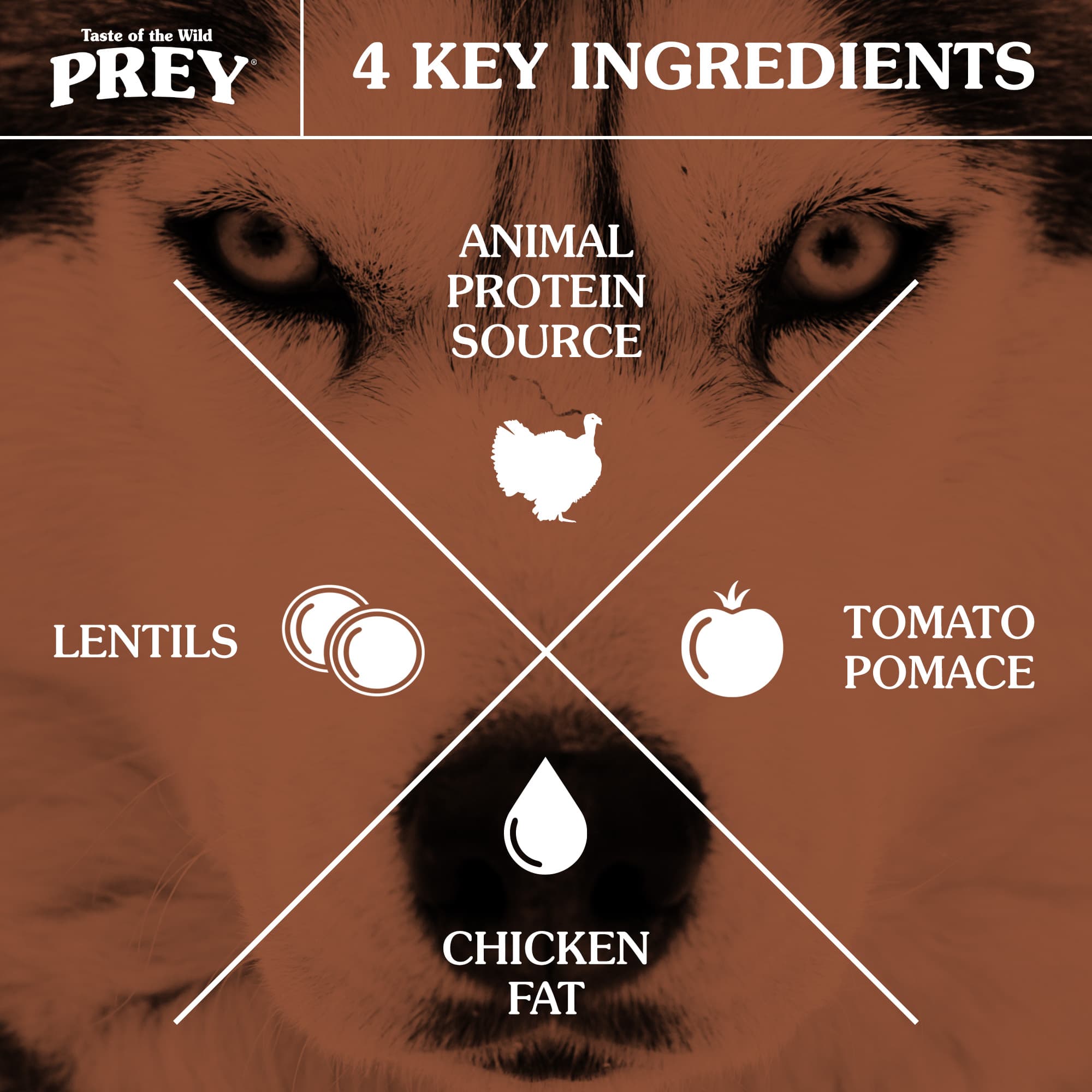 4 Key Ingredients for Dogs: Animal Protein Source, Tomato Pomace, Chicken Fat and Lentils