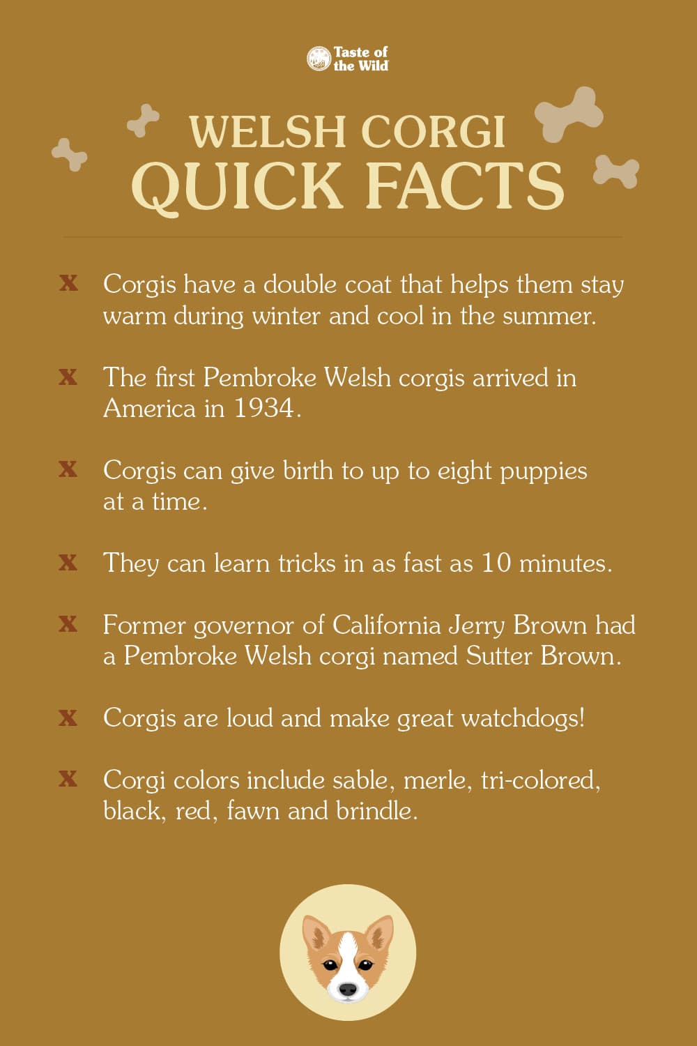 Welsh Corgi Quick Facts Infographic | Taste of the Wild
